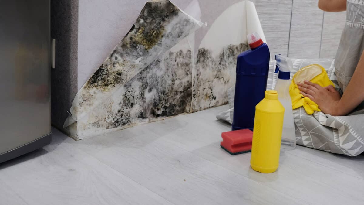 Close-up Of A Shocked Woman Looking At Mold On Wall