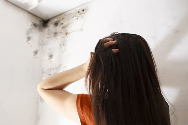 How to fix basement efflorescence