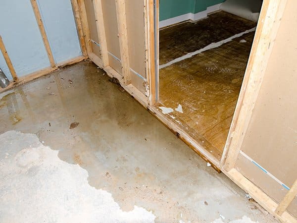 basement waterproofing and dehumidification in annapolis md
